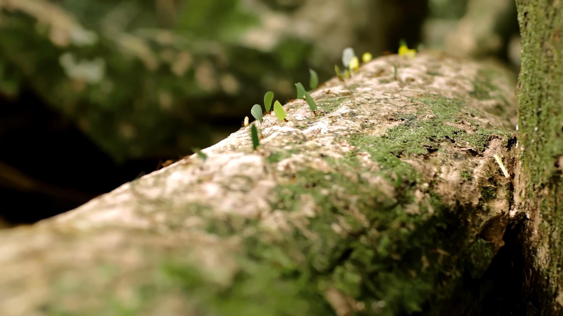 这个男人来自地球：全新纪剧照的剧照