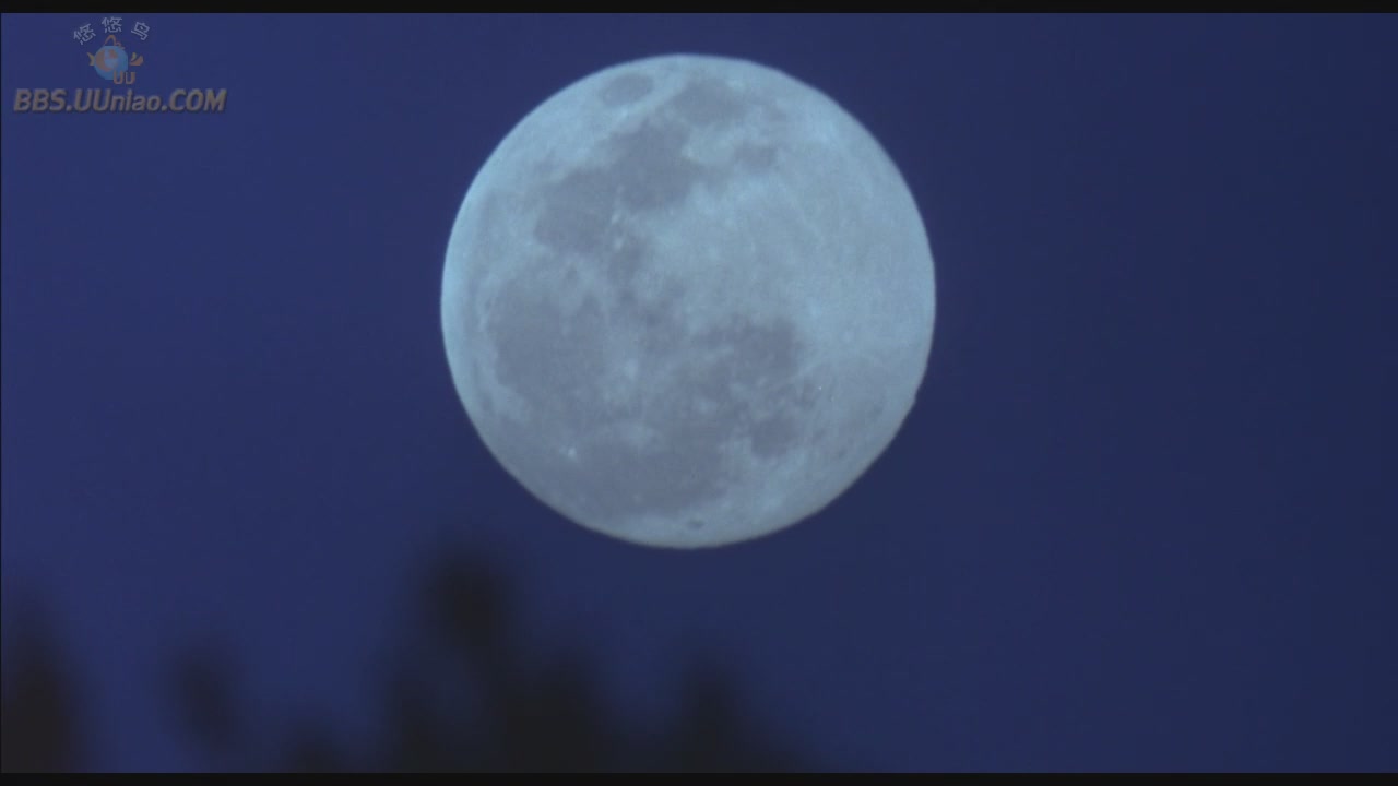 阿呆闯学堂剧照的剧照