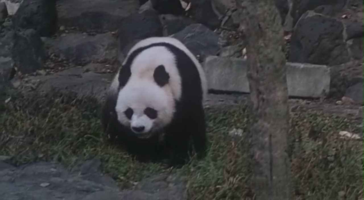 上海假期剧照的剧照