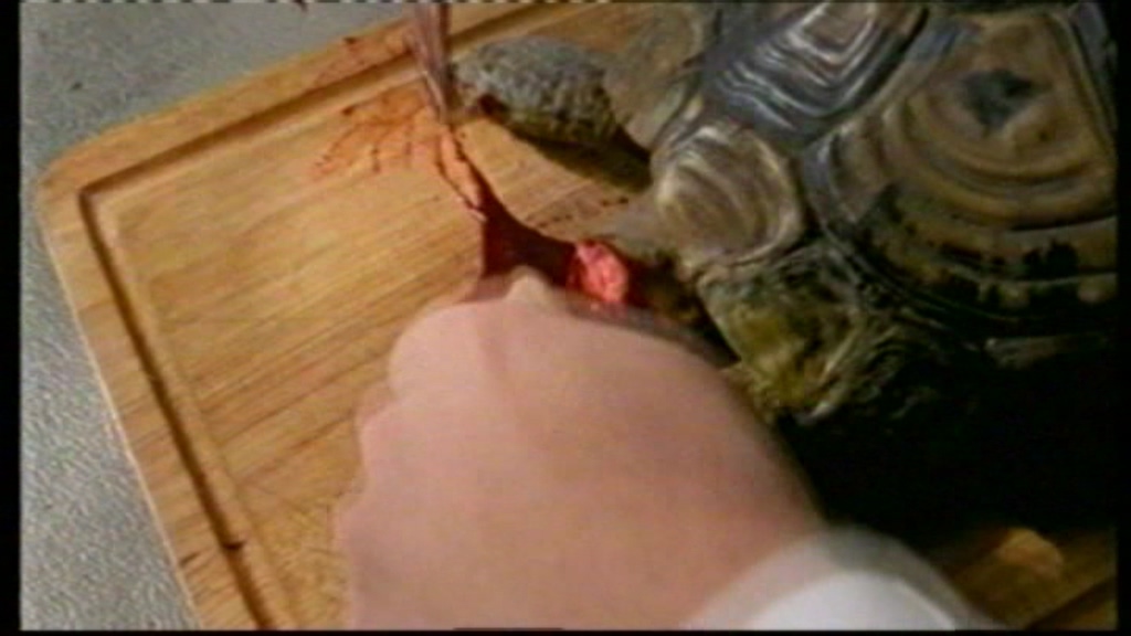 Suzy Q剧照的剧照