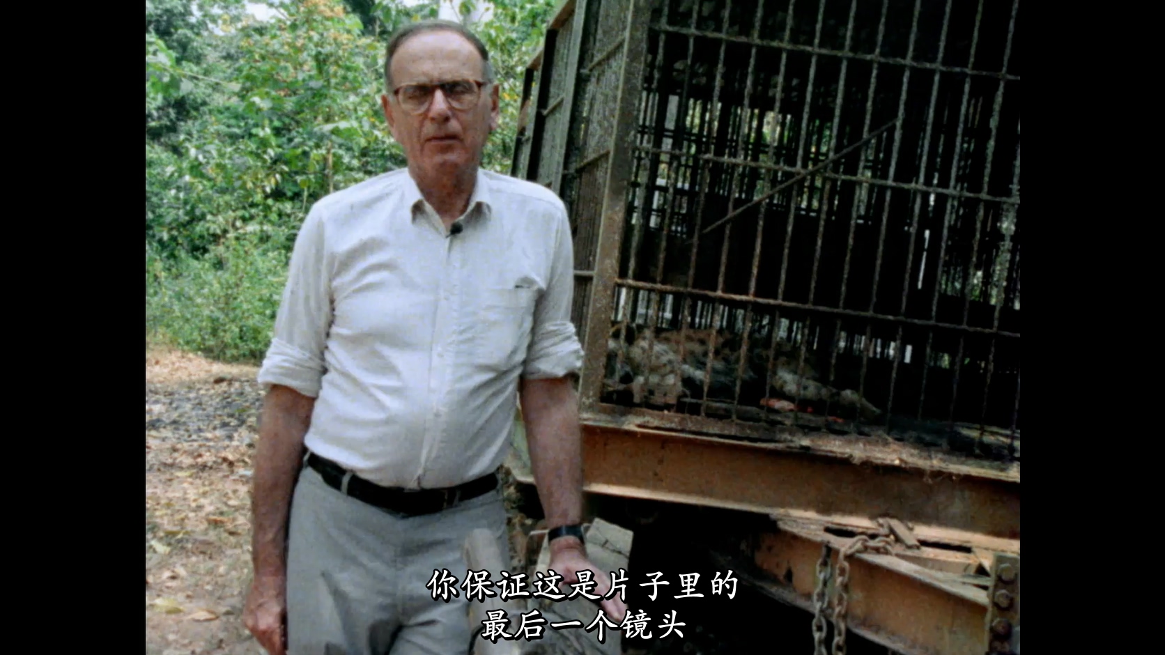 来自昏暗国度的回声剧照的剧照