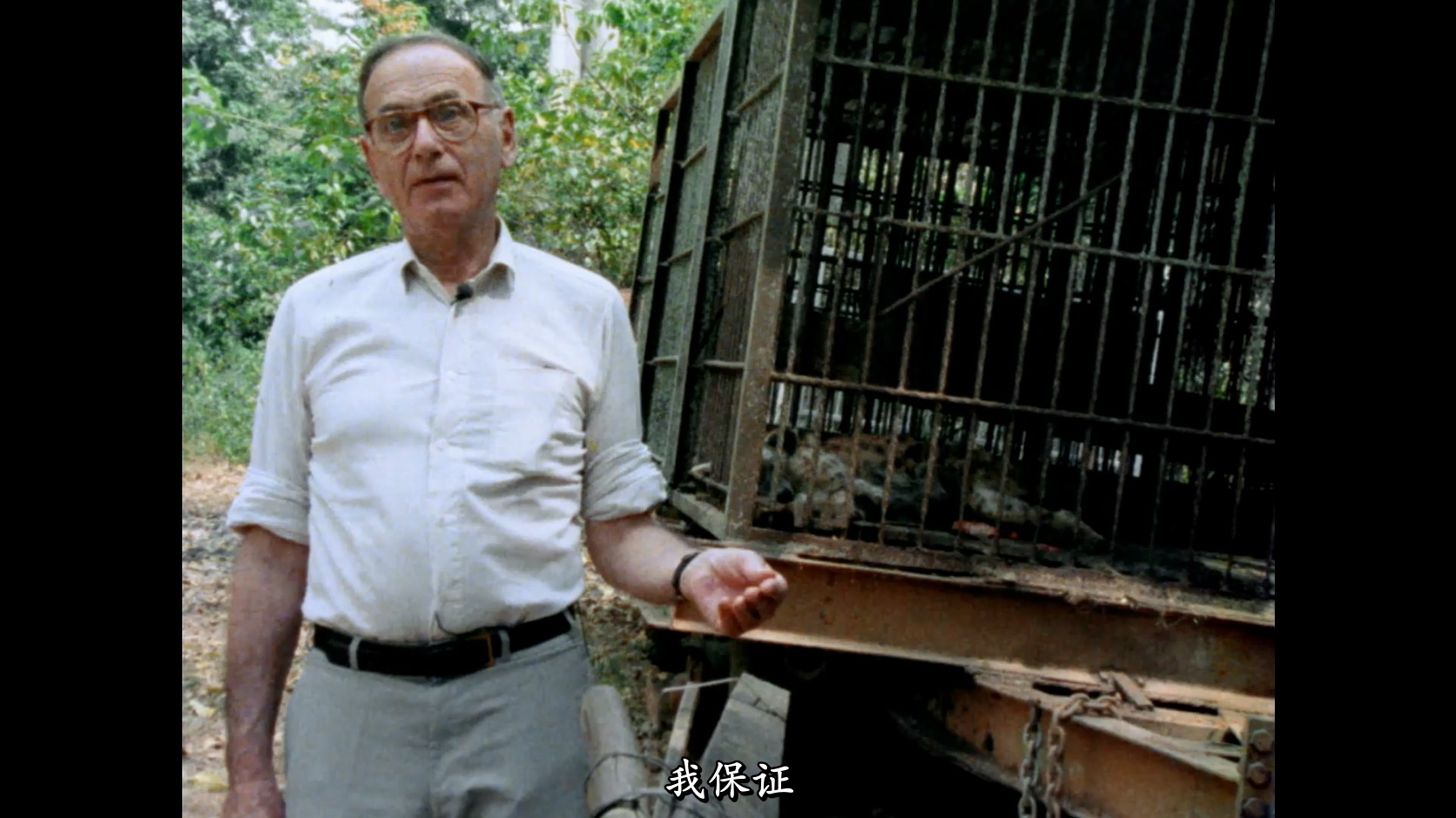 来自昏暗国度的回声剧照的剧照