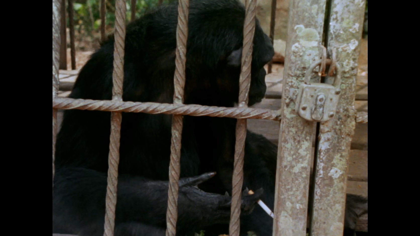 来自昏暗国度的回声剧照的剧照