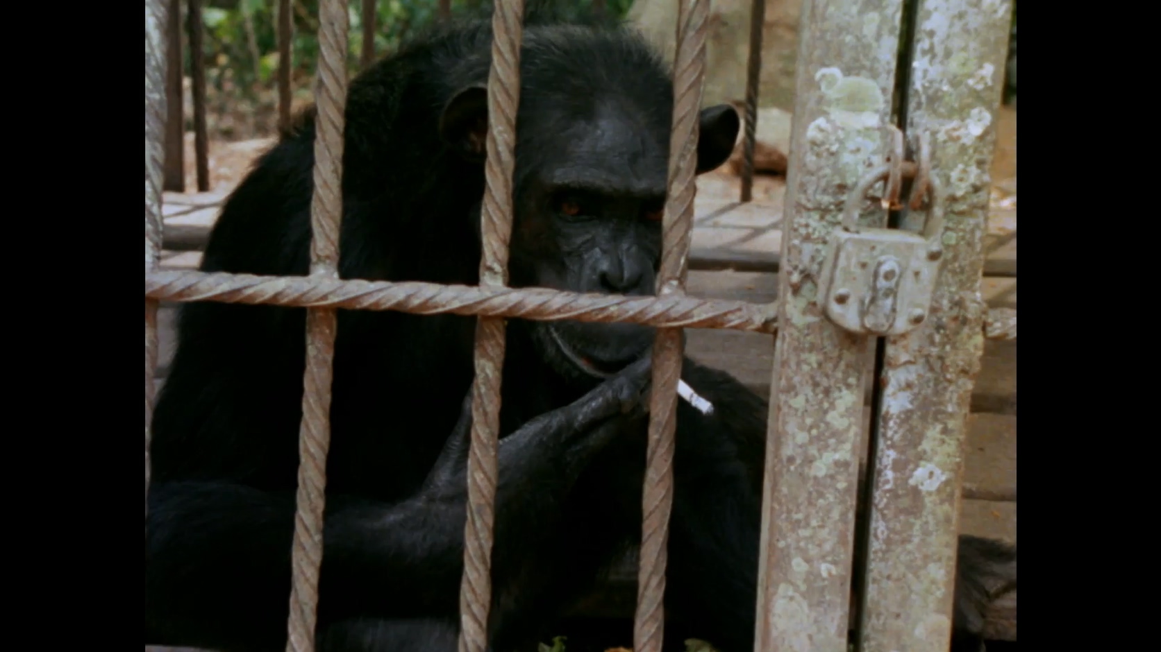 来自昏暗国度的回声剧照的剧照