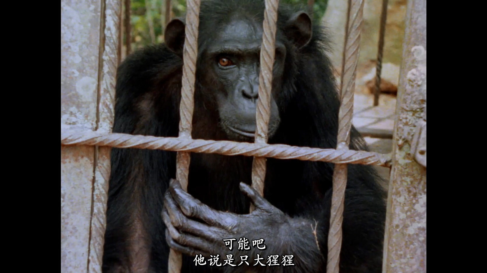 来自昏暗国度的回声剧照的剧照