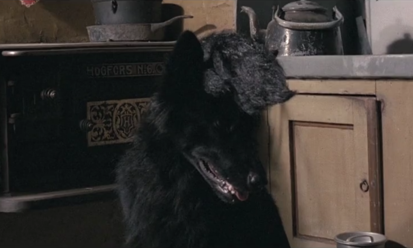 列宁格勒牛仔征美记剧照的剧照