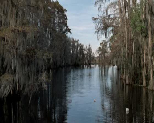 列宁格勒牛仔征美记剧照的剧照