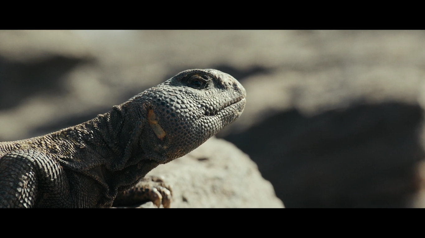 干预剧照的剧照