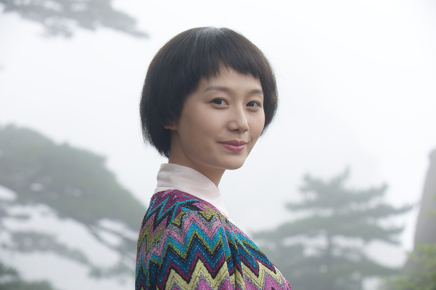 邓小平登黄山剧照的剧照