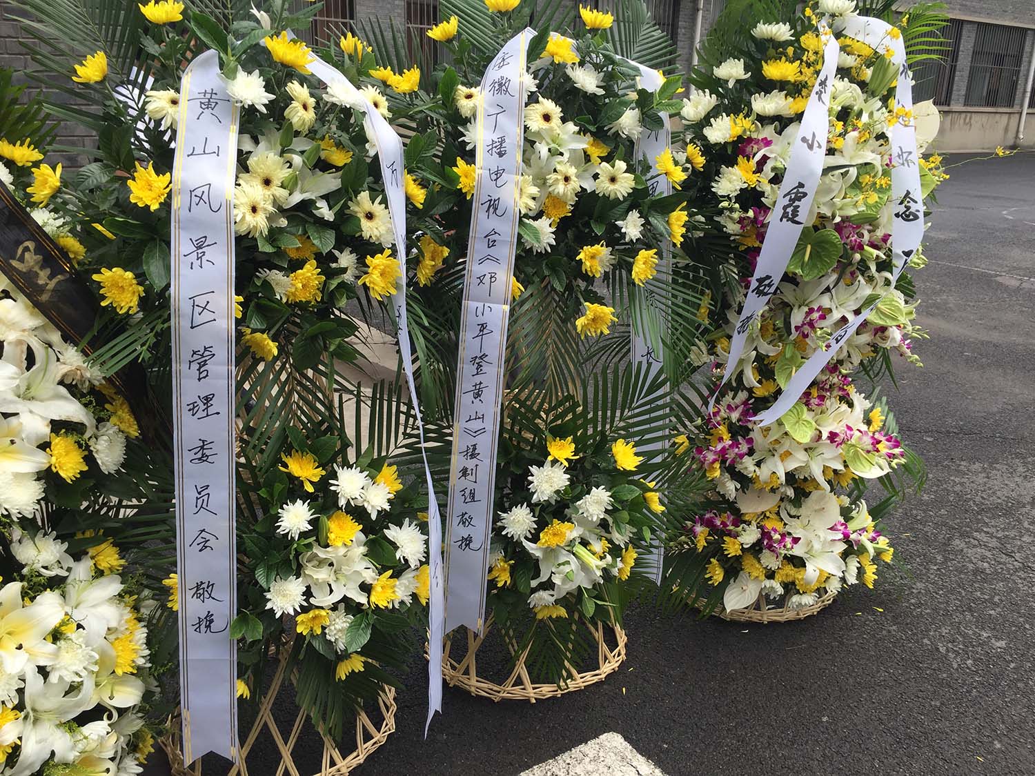 邓小平登黄山剧照的剧照