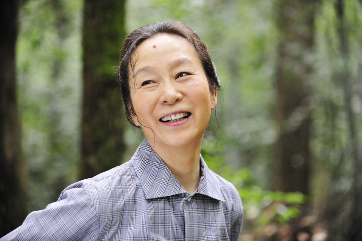 邓小平登黄山剧照的剧照