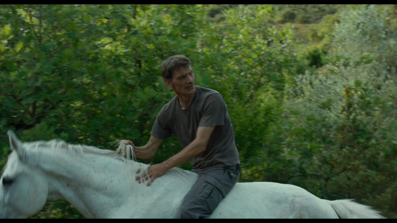 西部剧照的剧照