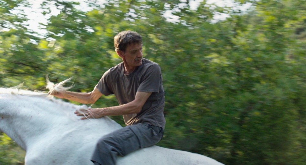 西部剧照的剧照