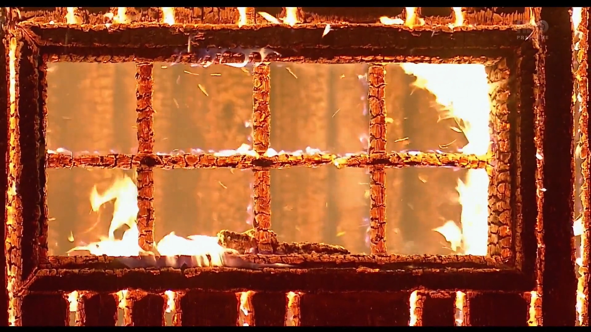 野名留史又如何剧照的剧照