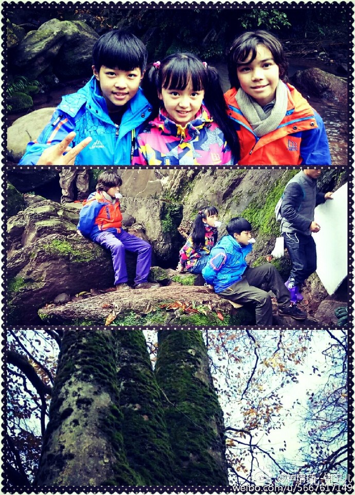 丛林历险记剧照的剧照