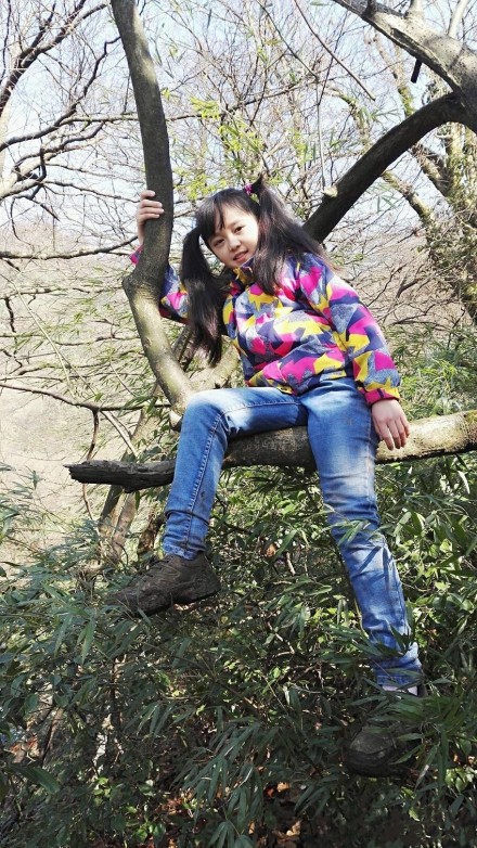 丛林历险记剧照的剧照