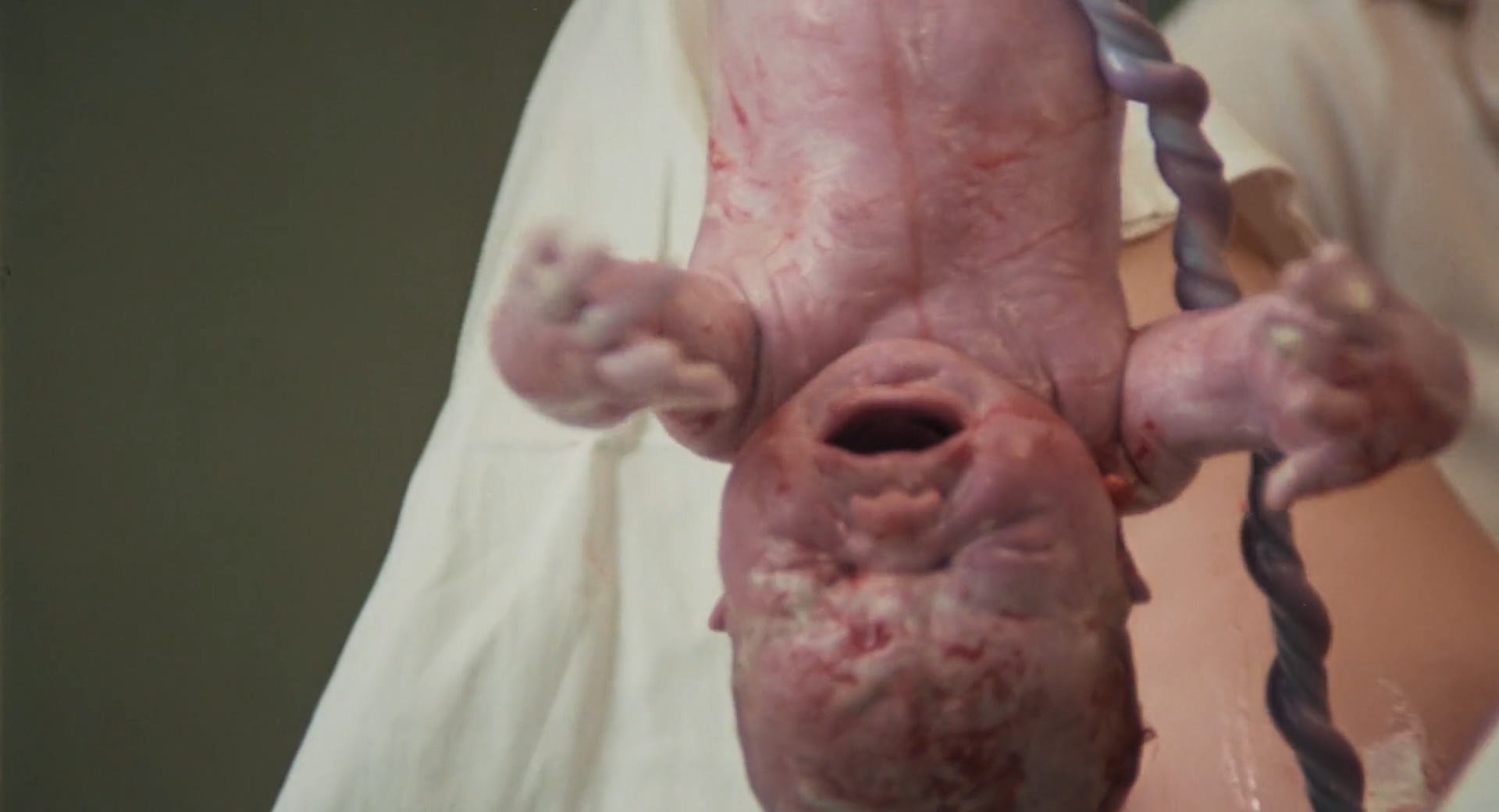 废车场风波剧照的剧照