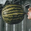 幸存的生命（理论与实践）剧照