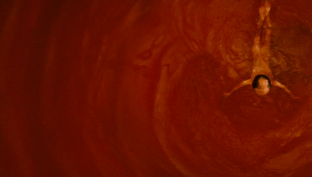 幸存的生命（理论与实践）剧照的剧照