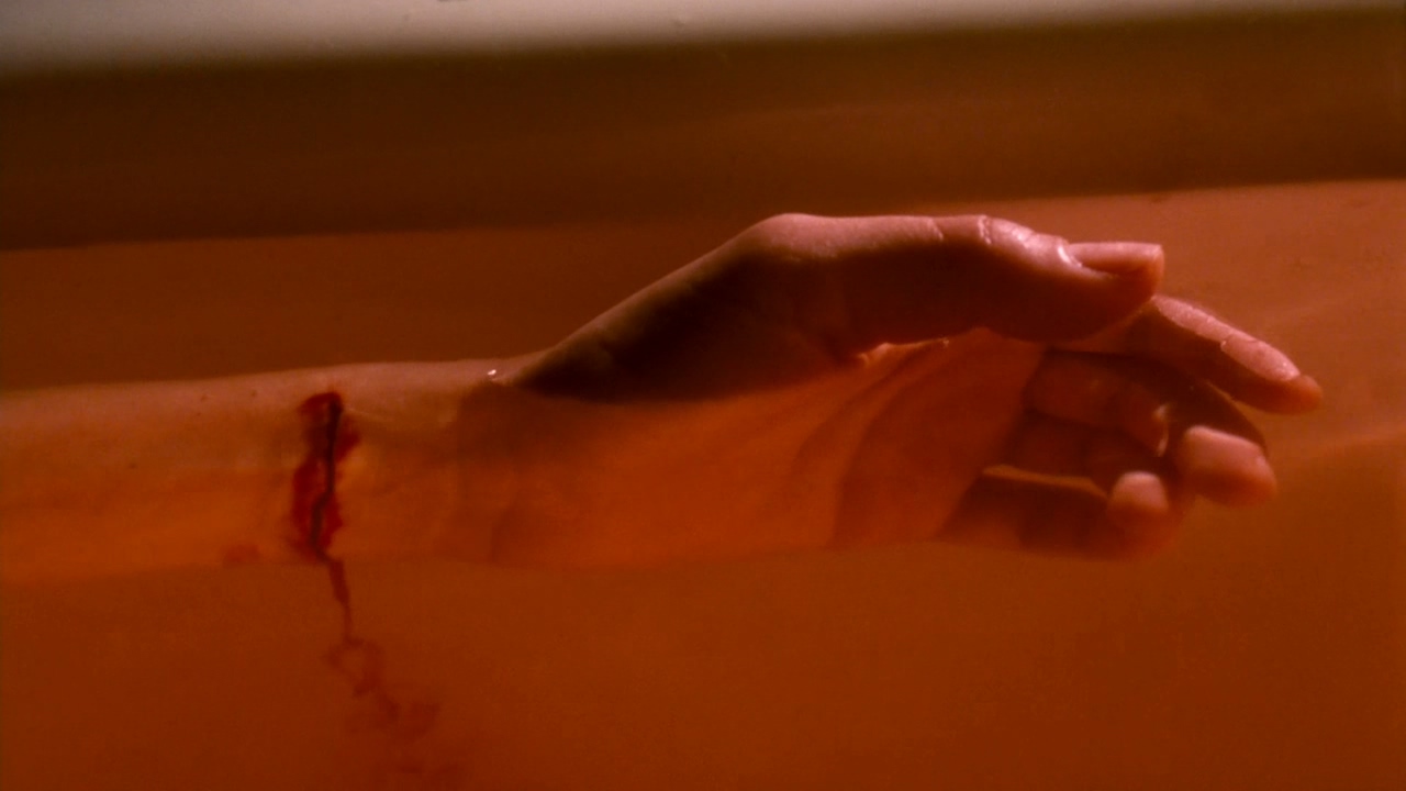 幸存的生命（理论与实践）剧照的剧照