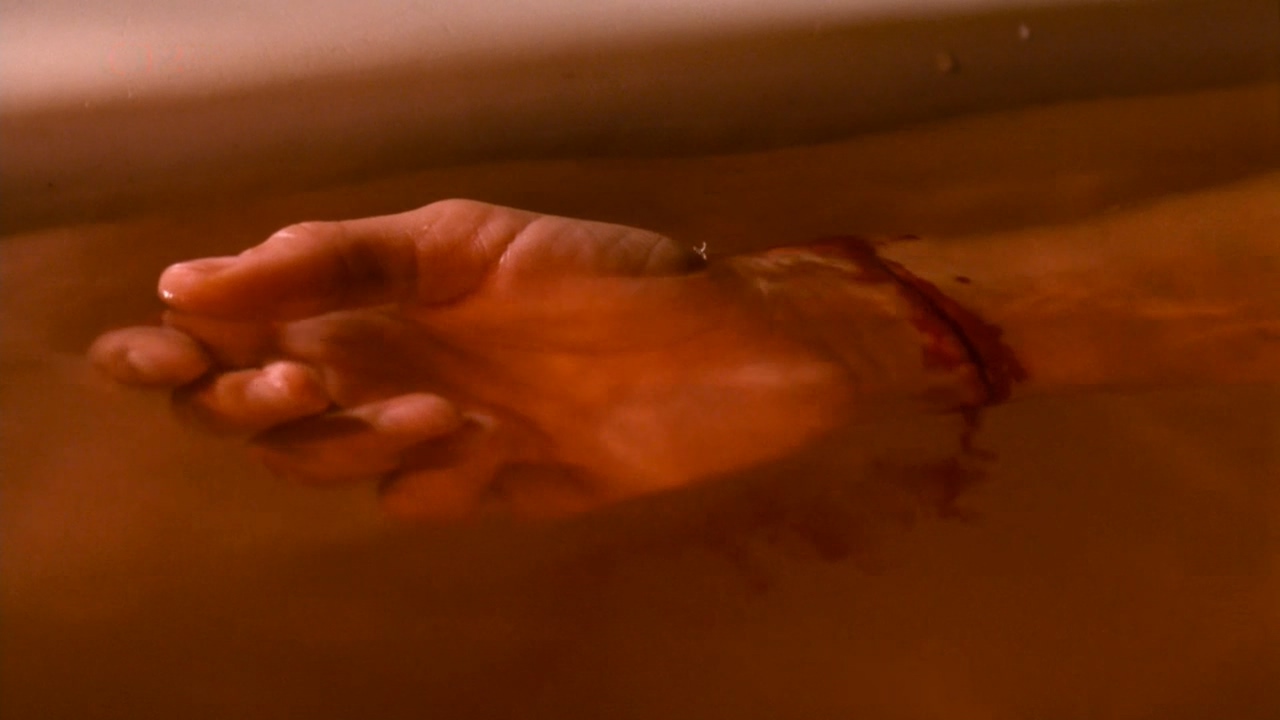 幸存的生命（理论与实践）剧照的剧照