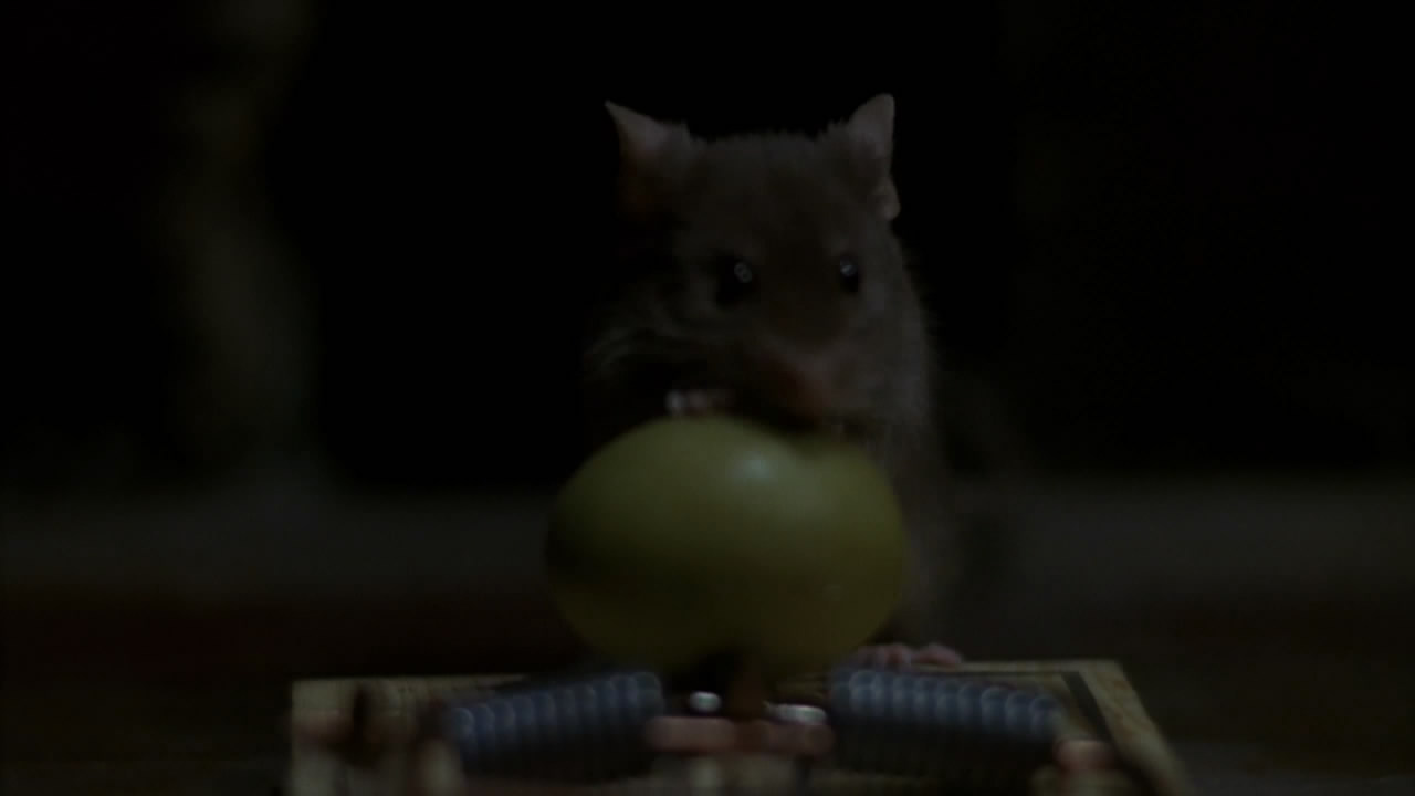 捕鼠记剧照的剧照