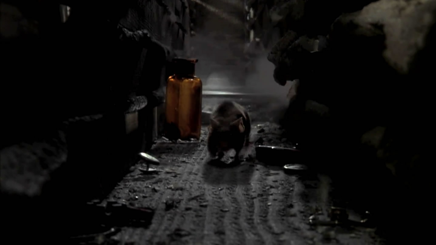 捕鼠记剧照的剧照