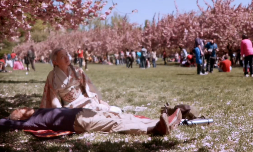 小可爱与拳击手剧照的剧照