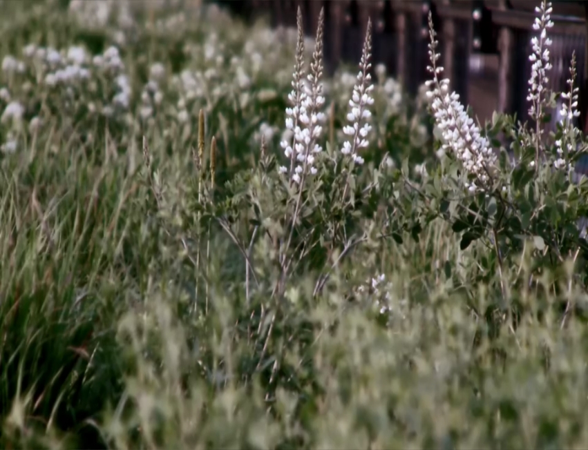 小可爱与拳击手剧照的剧照