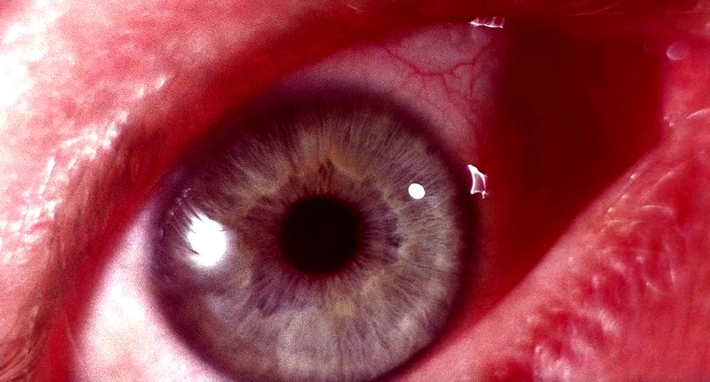 黑暗剧照的剧照