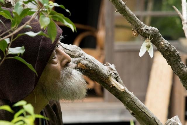 有熊谷守一在的地方剧照的剧照