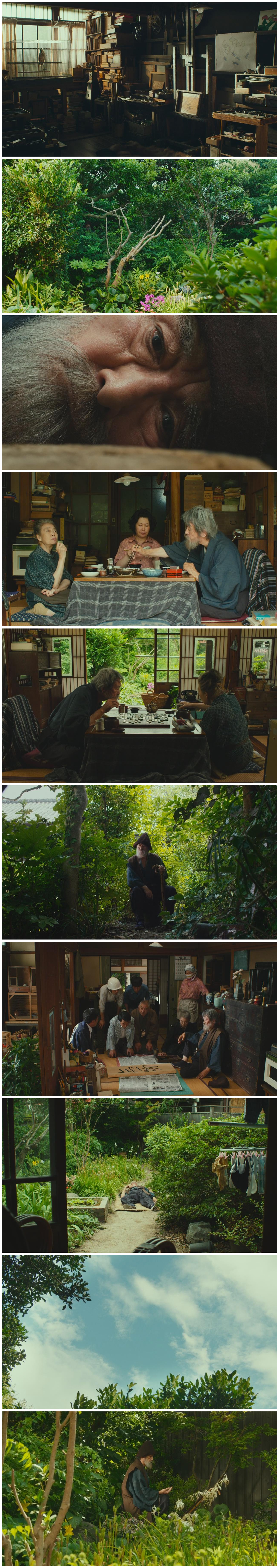 有熊谷守一在的地方剧照的剧照