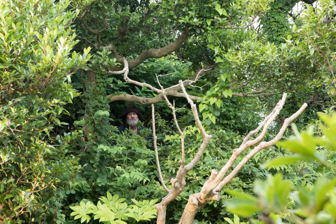 有熊谷守一在的地方剧照的剧照