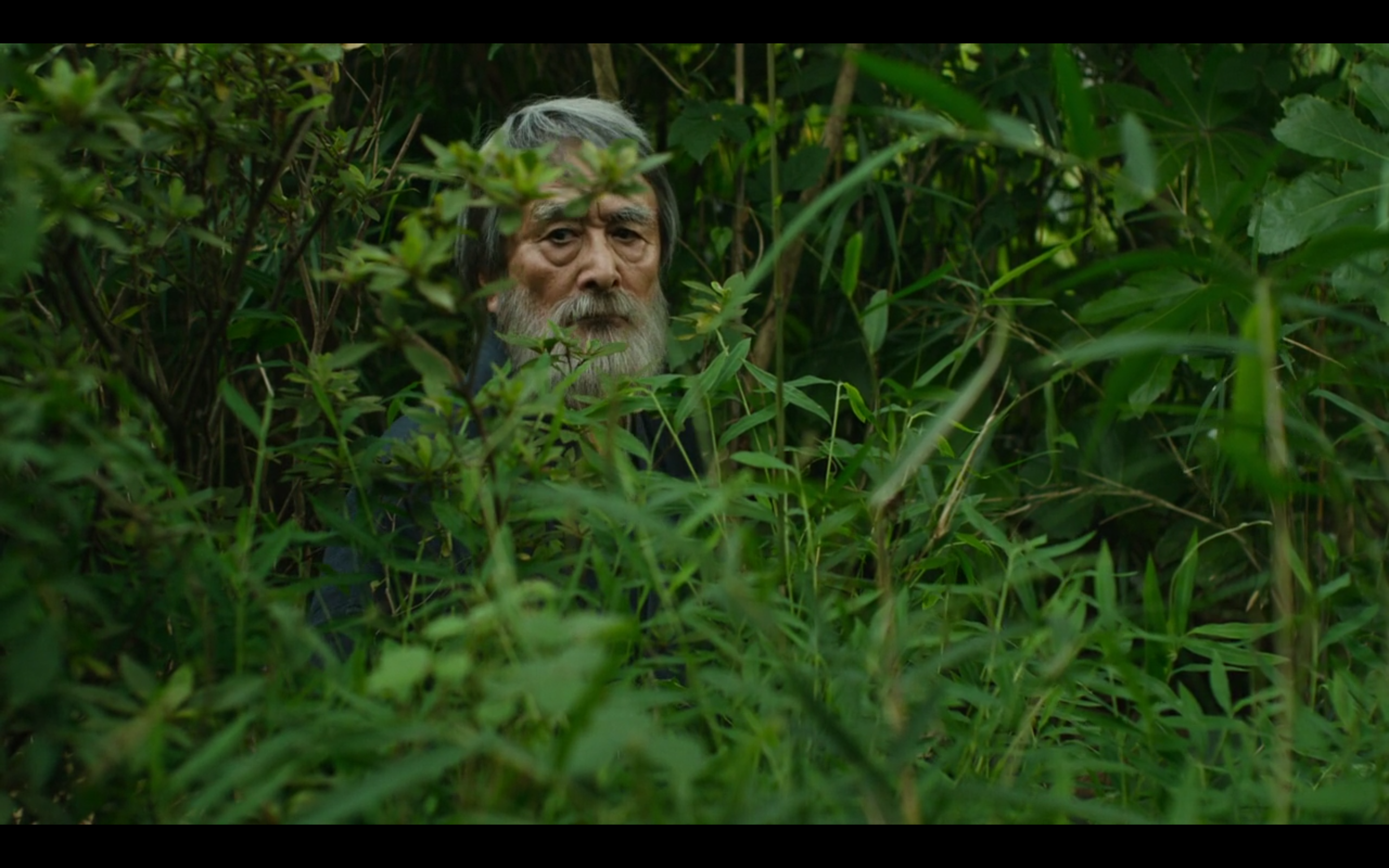 有熊谷守一在的地方剧照的剧照