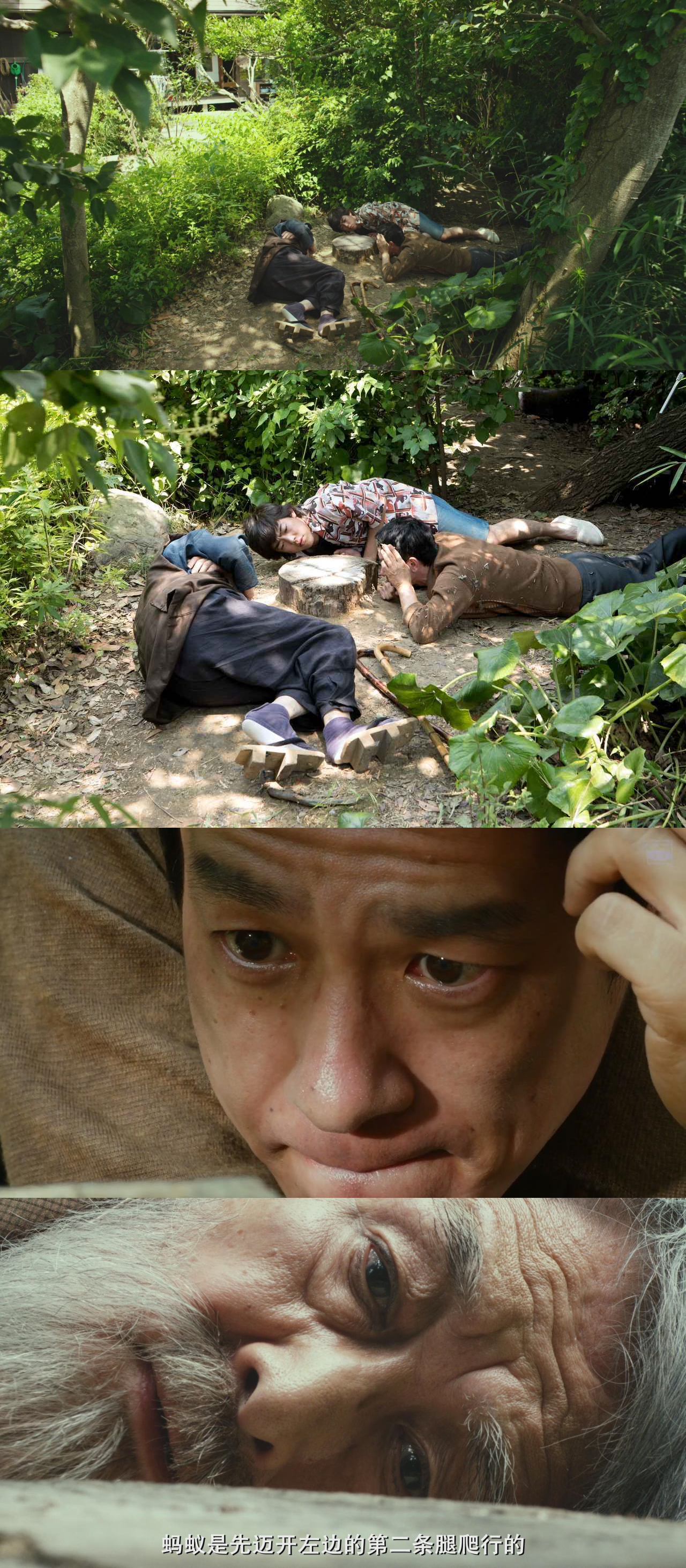 有熊谷守一在的地方剧照的剧照