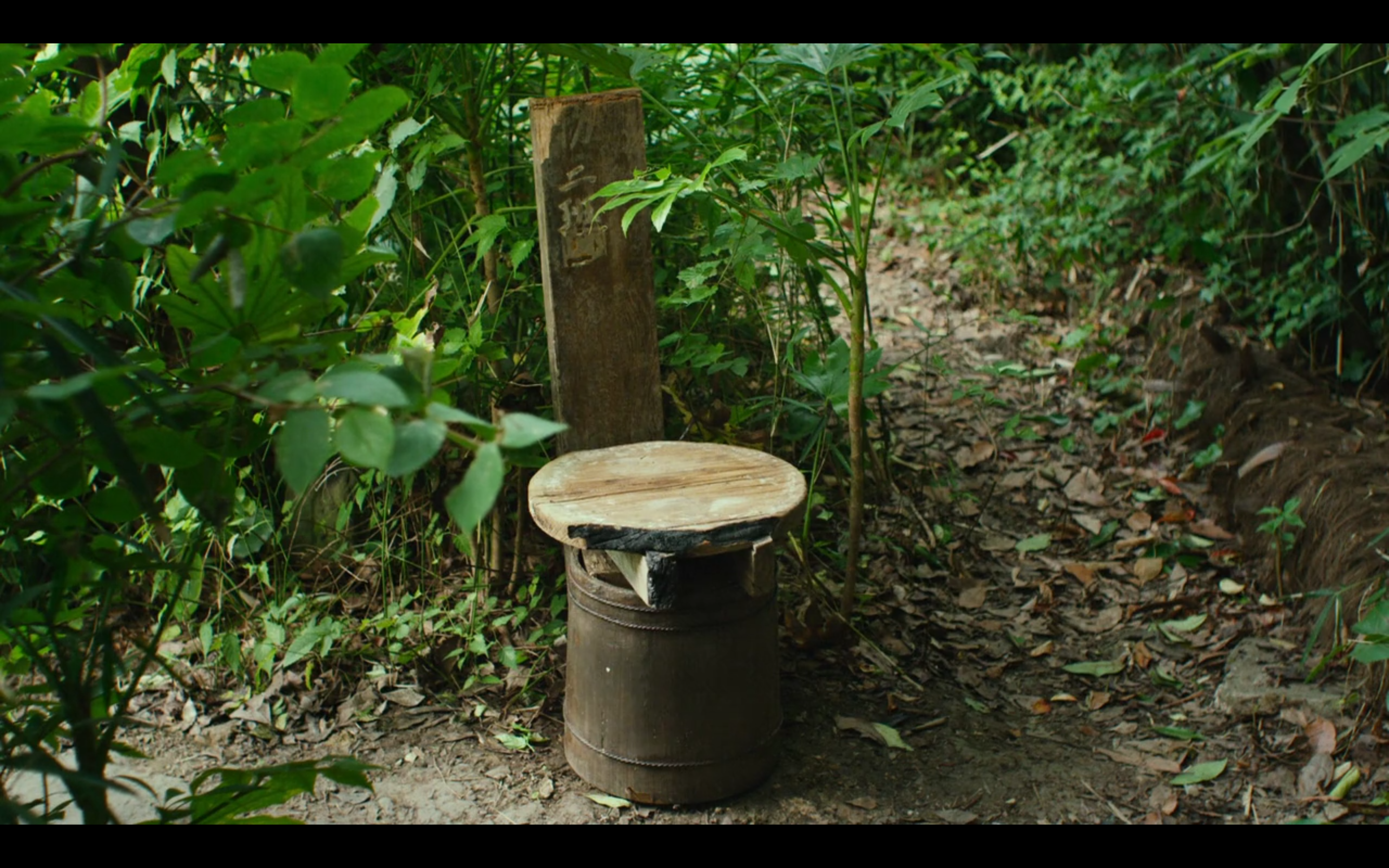 有熊谷守一在的地方剧照的剧照