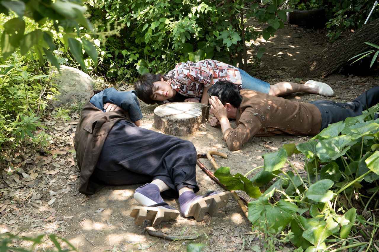 有熊谷守一在的地方剧照的剧照