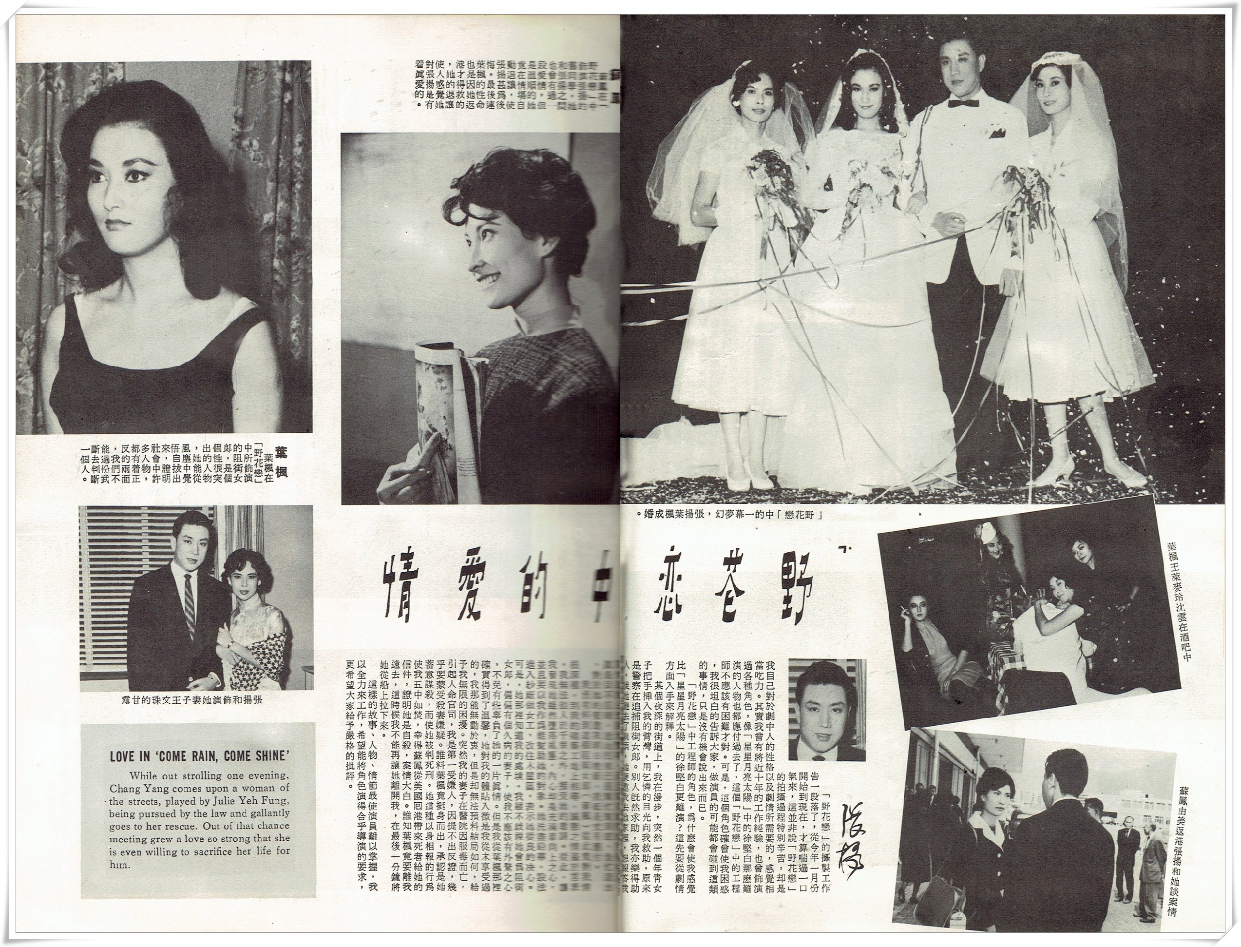 野花恋剧照的剧照