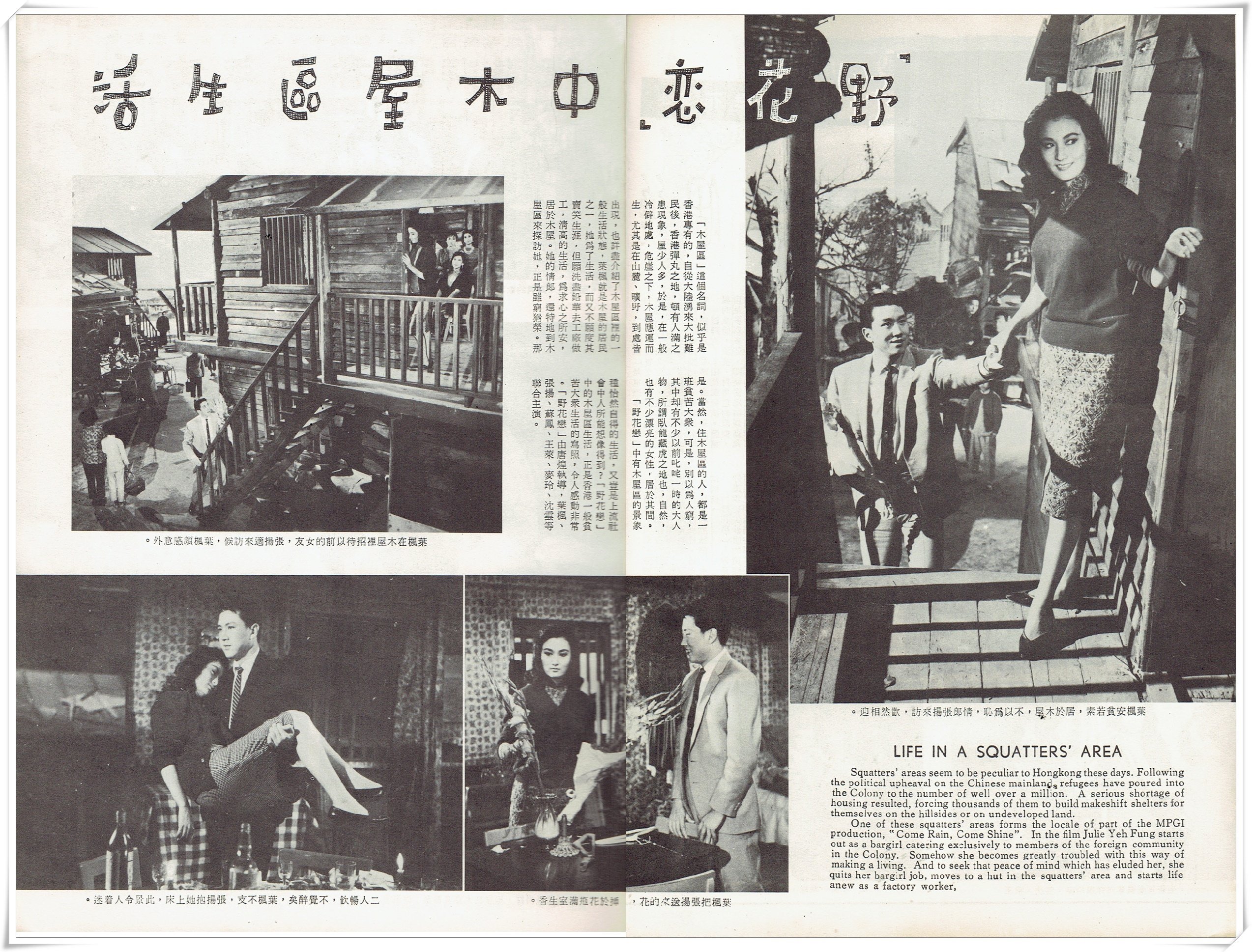 野花恋剧照的剧照