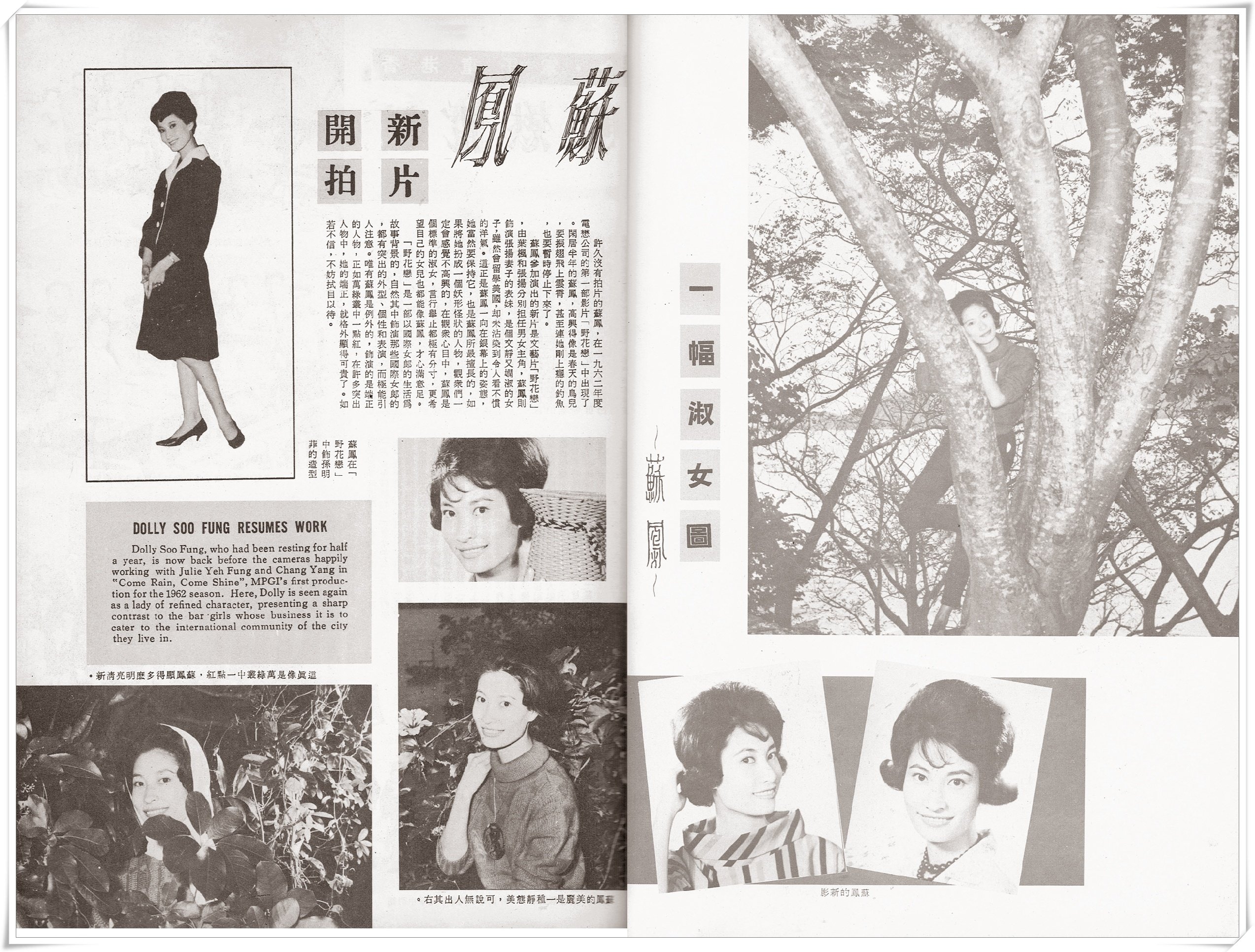 野花恋剧照的剧照