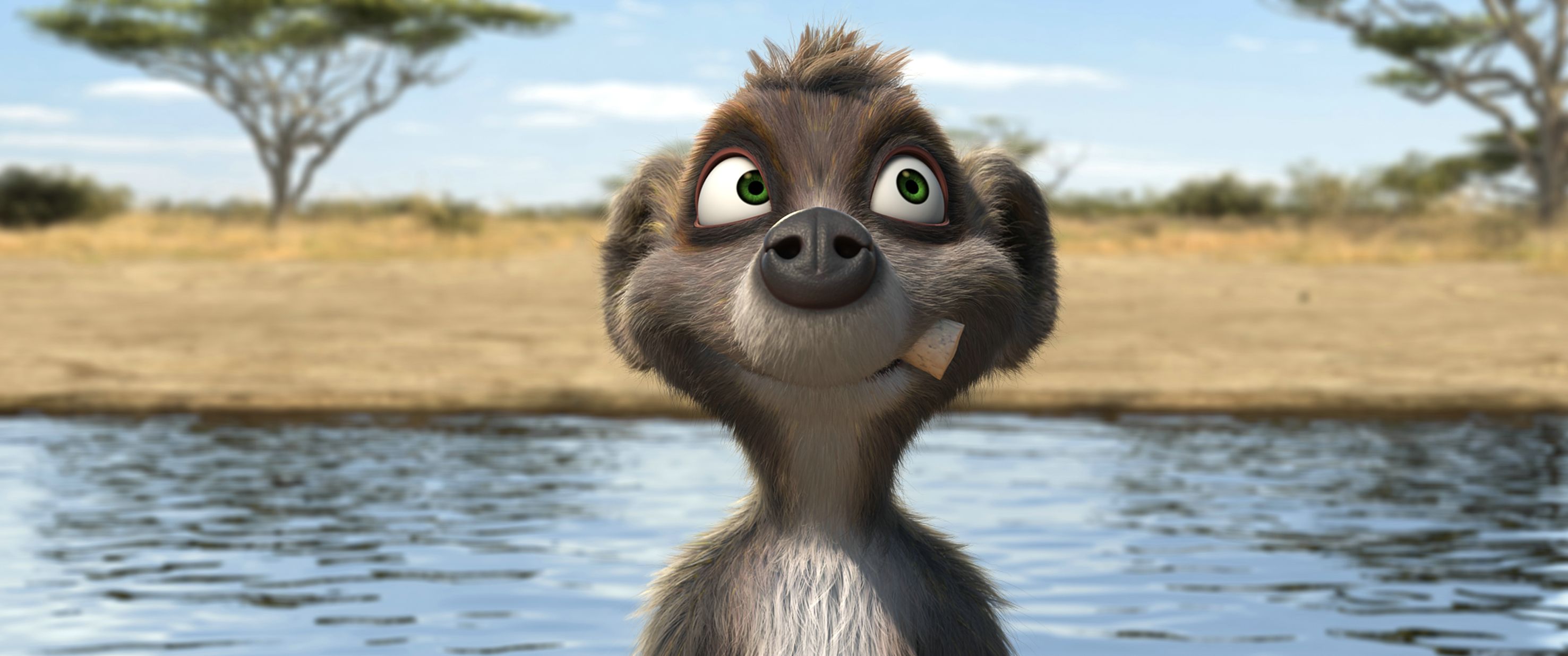 动物总动员剧照的剧照