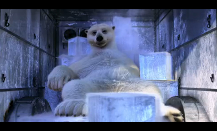 动物总动员剧照的剧照