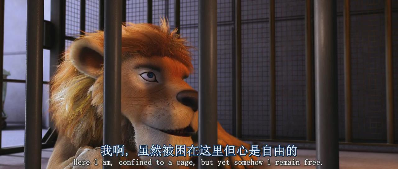 动物总动员剧照的剧照