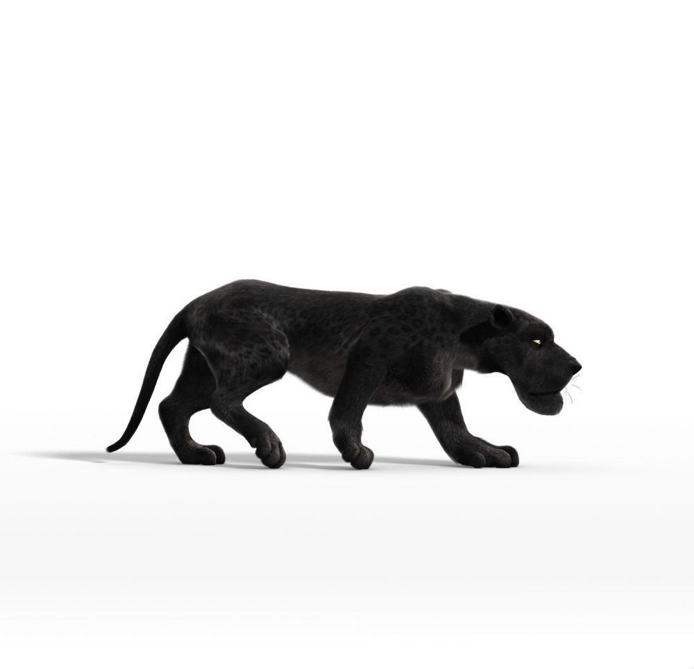 动物总动员剧照的剧照