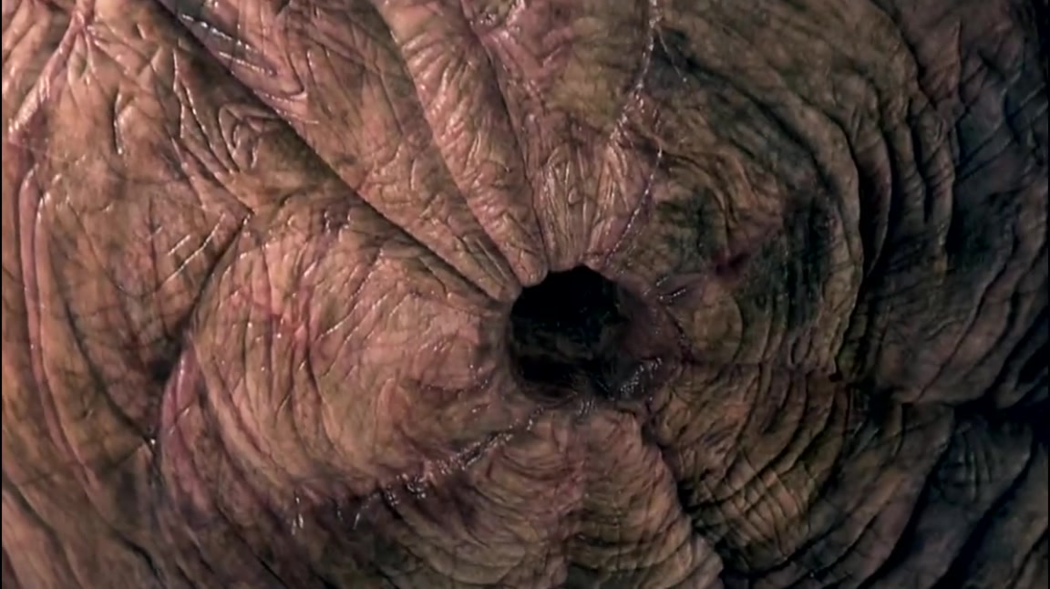 进化危机剧照的剧照