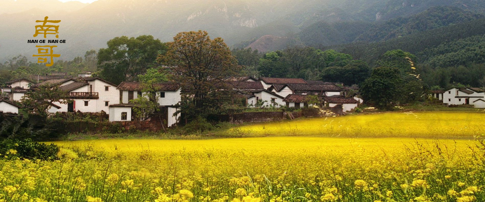 南哥剧照的剧照