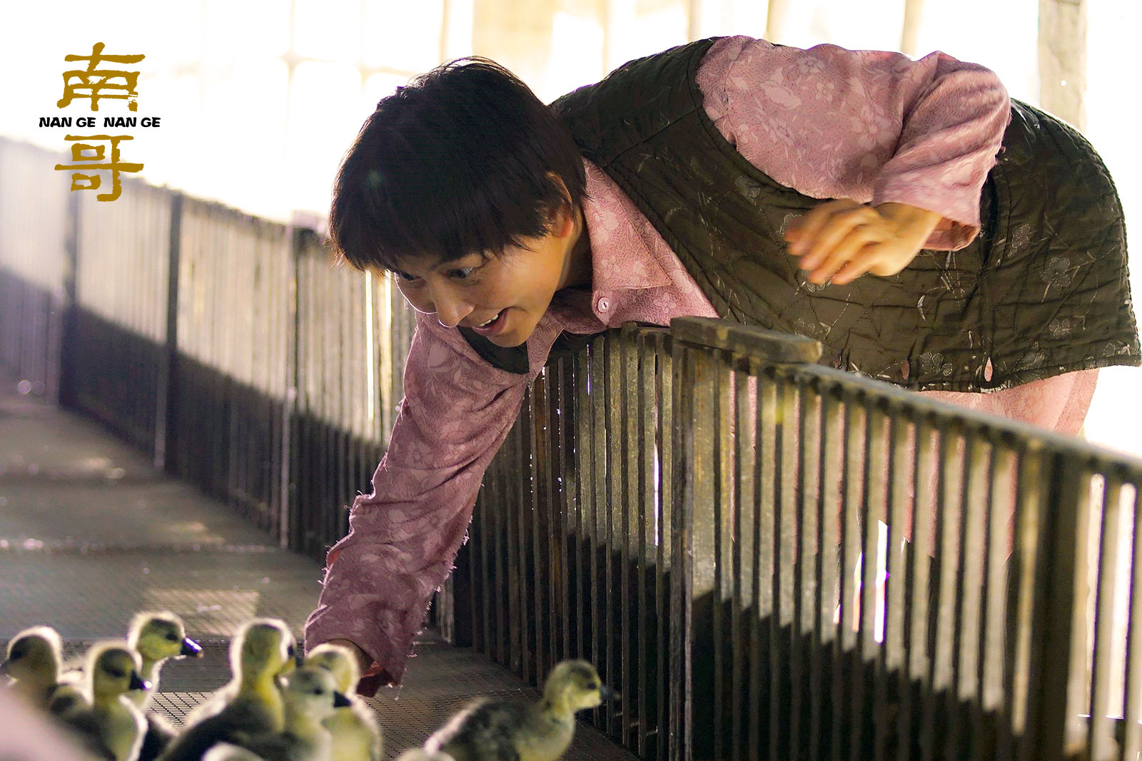 南哥剧照的剧照