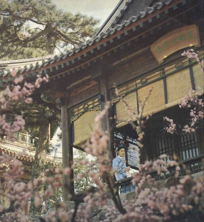 火烧圆明园剧照的剧照