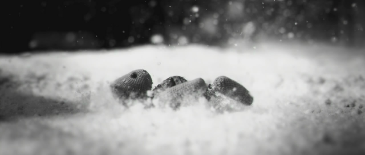 反基督者剧照的剧照