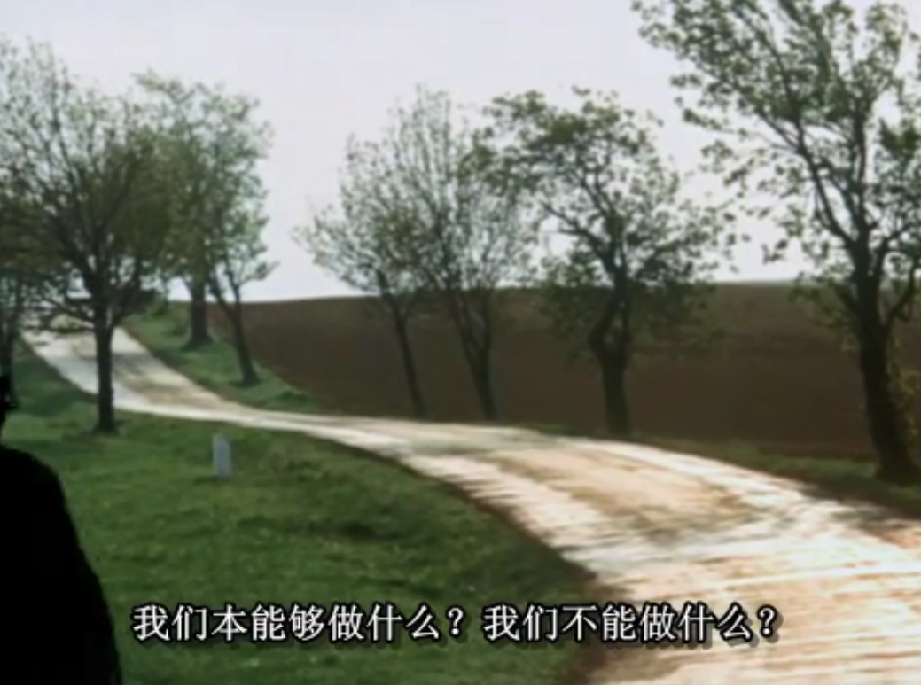 捷克斯洛伐克60年代新浪潮电影二十五面体剧照的剧照